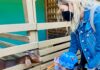 Más de 107 mil personas visitaron los Parques Morelos y de la Amistad en noviembre