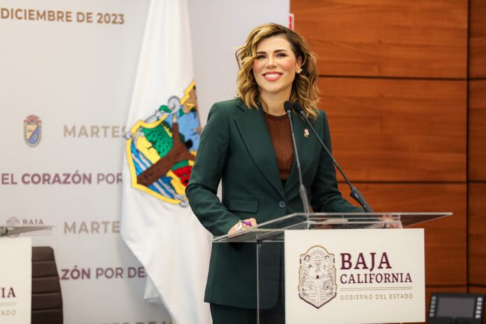 marina-2023-12-19-at-20.20.51
