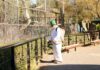Ayuntamiento fumigará hábitats de animales en Parque Morelos