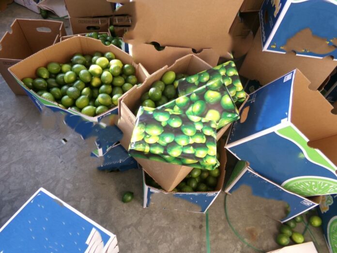Decomiso-limones