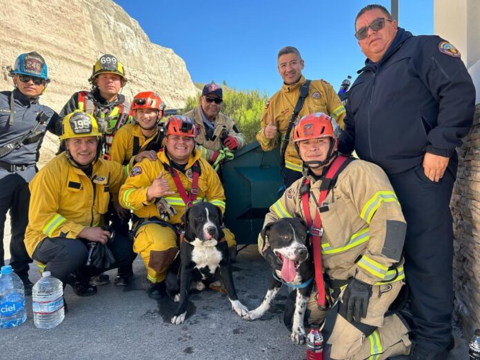 bomberos-2024-02-12 at 21.02.56 (1)