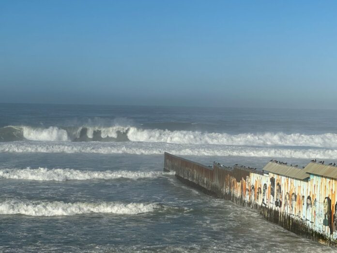olas-2024-02-19 at 10.04.09