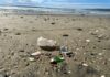 Preocupante alta contaminación de playas en Baja California: Hagamos Conciencia AC