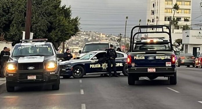 Policiaca=2024-10-29 at 14.55.08