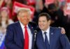 Marco Rubio, de origen cubano, sería el secretario de estado de Trump