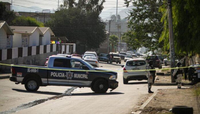 policia-2024-11-25 at 16.46.49