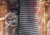 Queman la puerta de bar donde han asesinado a seis en 2024