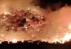 Voraz incendio de 2400 hectáreas provoca evacuaciones en los municipios de Tijuana y Tecate.