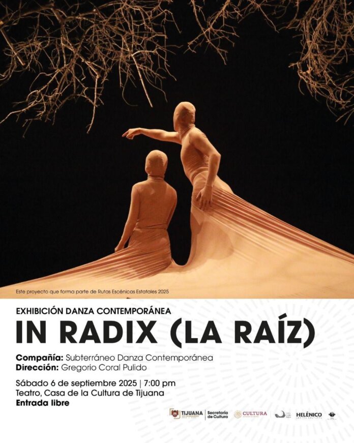 Radix-2025-10-07 at 21.14.44