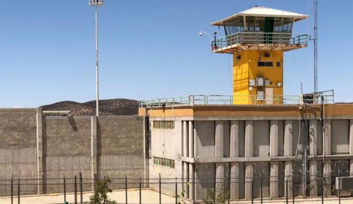 Penal-2026-05-13 at 14.32.23